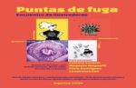 Punto de Fuga – Encuentro del Ilustradores en Flores