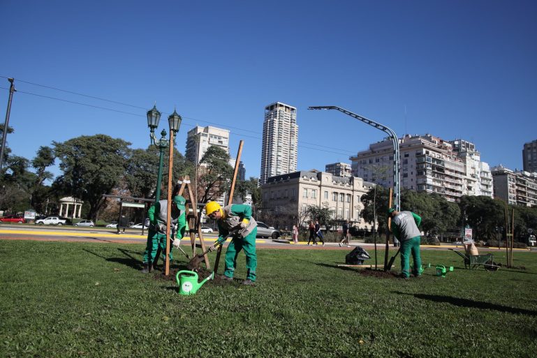 En 2024 se plantará un 50 por ciento más de árboles que en el año 2023