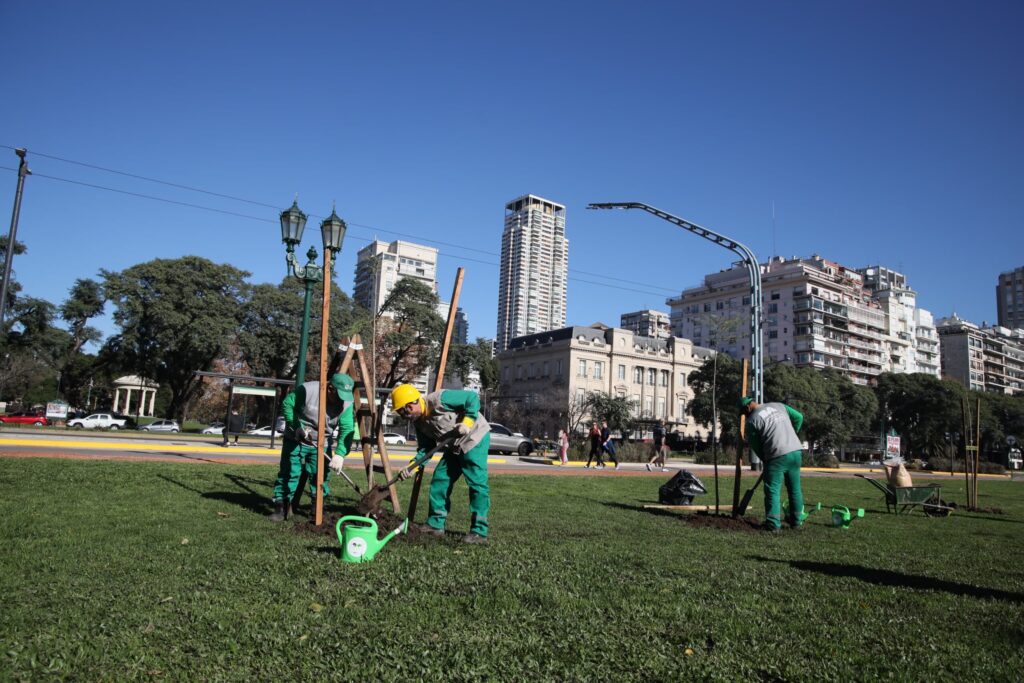Ciudad: se plantarán un 50 por ciento más de árboles que el año pasado
