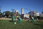 Ciudad: se plantarán un 50 por ciento más de árboles que el año pasado