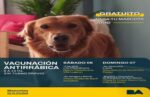 Domingo de vacunación antirrábica gratuita en Flores