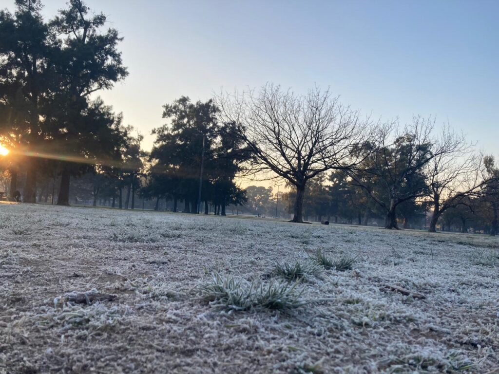 Alerta roja por frío extremo: los parques de Saavedra amanecieron llenos de escarcha