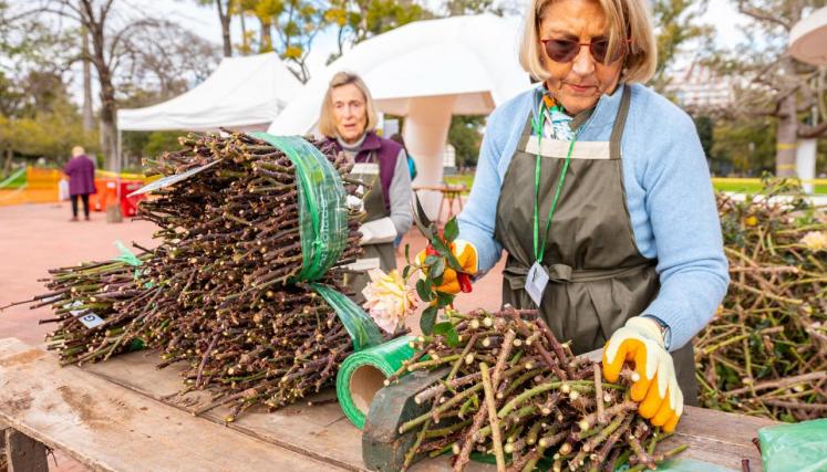 El Parque 3 de Febrero realizará la poda de su rosedal