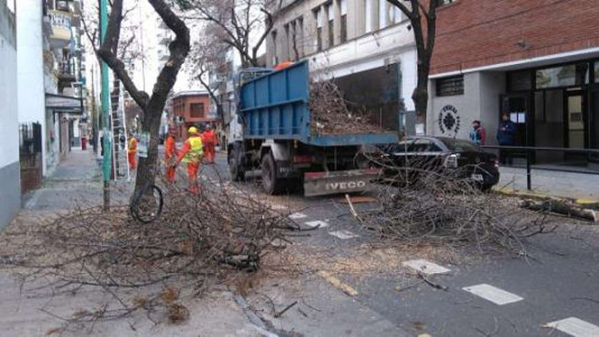 Podas lineales en Balvanera y San Cristóbal