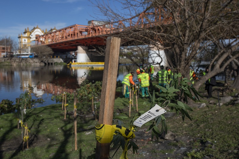 Convocan a los vecinos a una Jornada de forestación en el Riachuelo