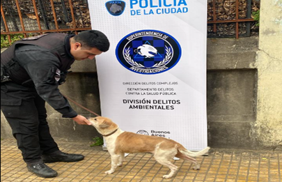 Nueva Pompeya: Rescataron a perros de una vivienda en condiciones higiénicas