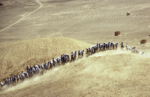  “Cuando la fe mueve montañas (2002). Dos décadas después” en PROA