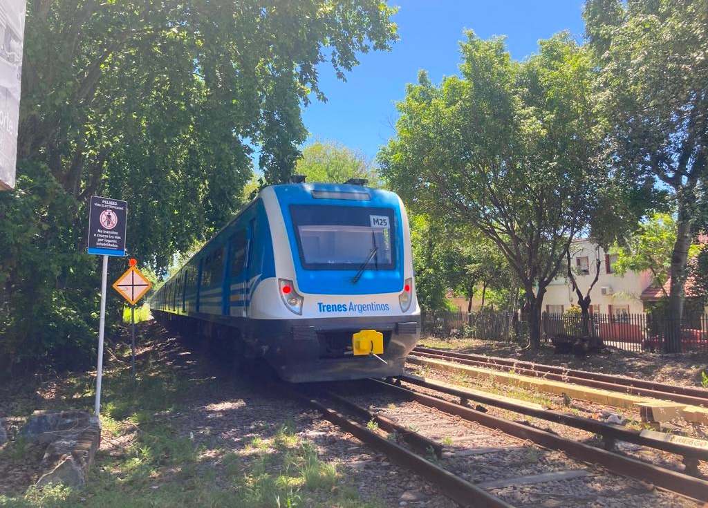 Tren Mitre: el ramal Mitre que pasa por el barrio de Saavedra registró demoras toda la semana por problemas técnicos