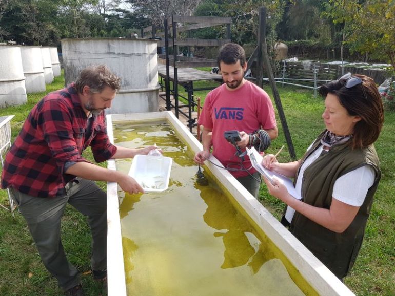La FAUBA colabora en la lucha contra el dengue