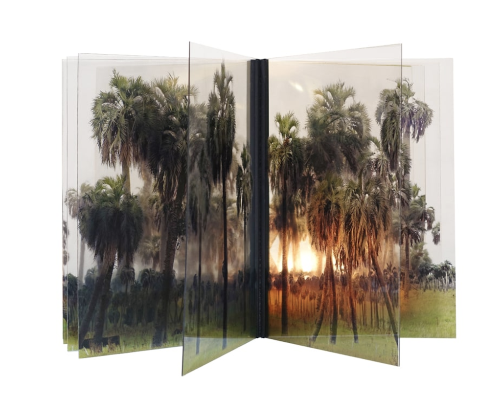 Nomad e Intervenciones mínimas, dos nuevas muestras en el Museo Larreta