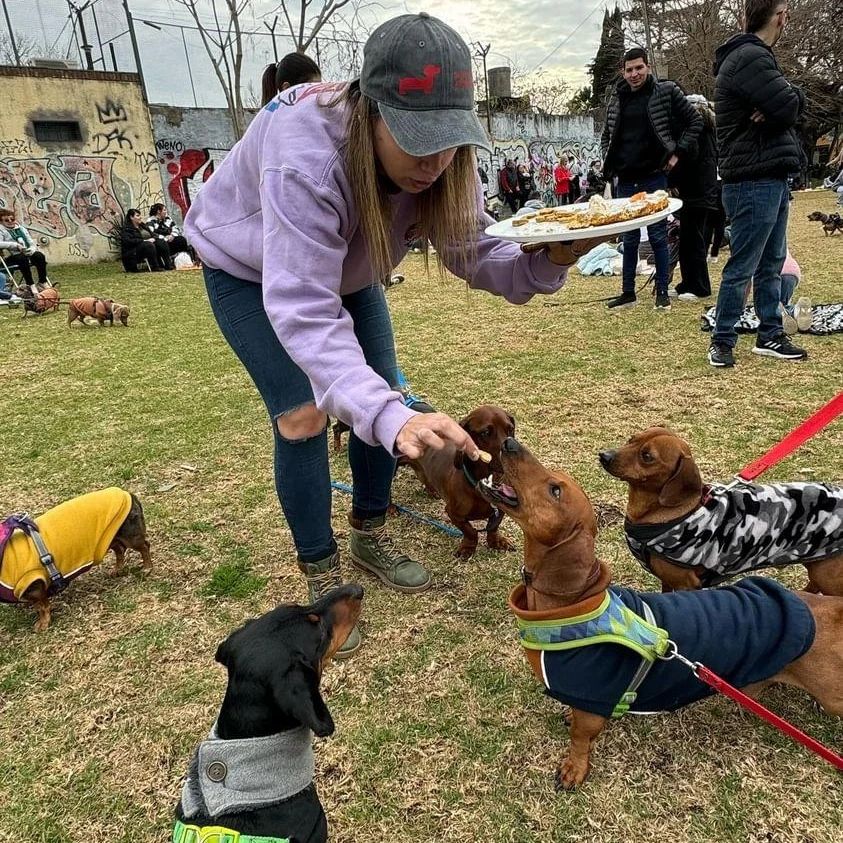 Saavedra: celebrarán un encuentro de perros salchicha en La Copita