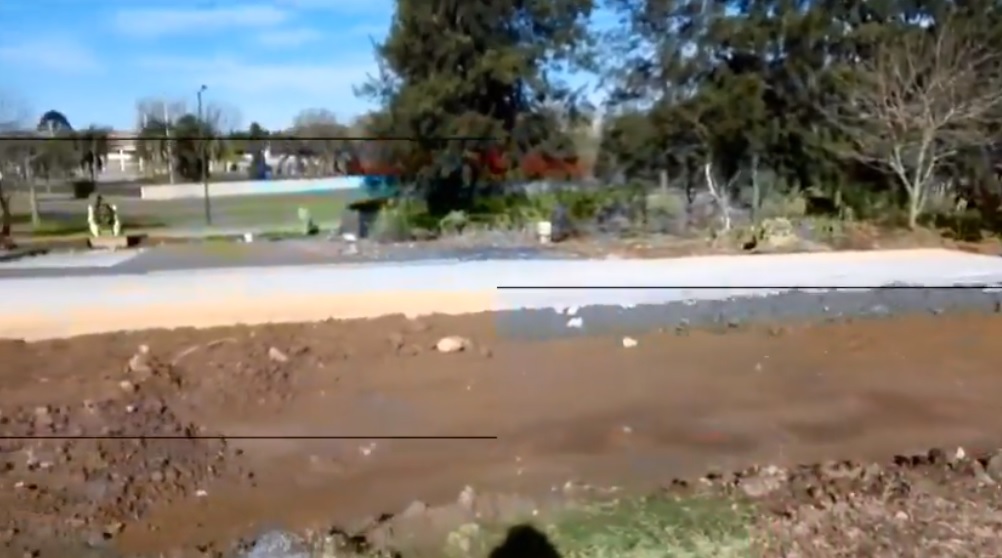 Construyen un nuevo camino interno en el Parque Sarmiento y vecinos alertan por la tala de árboles