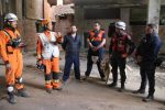 Histórica certificación para los perros de rescate K9 de Bomberos de CABA