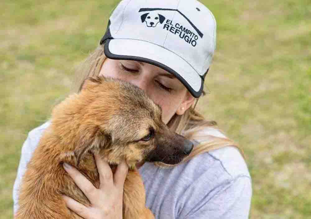 Buscan reconocer el trabajo de El Campito Refugio