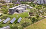 CIFA: Voluntariados gratuitos de flora nativa y agricultura urbana
