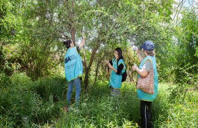 Reserva Ecológica Lago Lugano: Voluntarios recogieron frutos