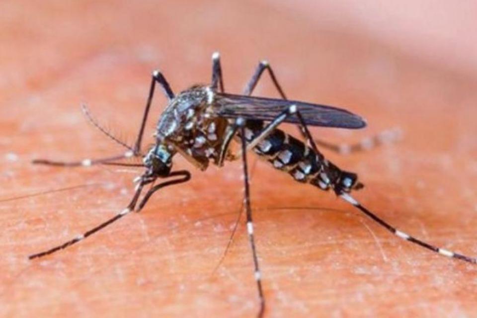 El primer caso autóctono de dengue de la Ciudad de Buenos Aires se ubica en la Comuna 3 de Balvanera y San Cristóbal