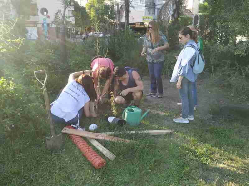 Presentaron la asociación civil Vecinos y Vecinas por el Parque de la Estación y plantaron un árbol nativo