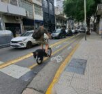 Impulsan un amparo para evitar la remoción de la ciclovía en la calle Tucumán