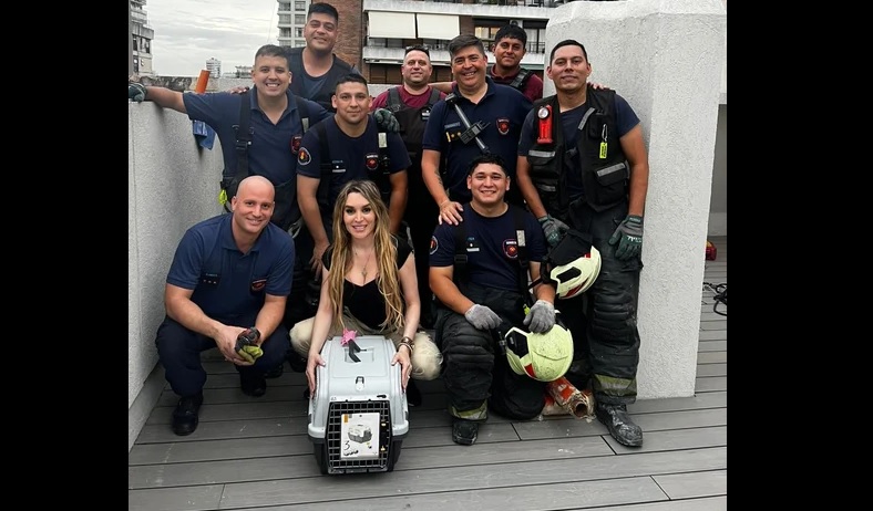 Bomberos de la Ciudad rescataron al gato de Fátima Florez en Palermo