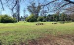 Acto por la puesta en valor del Bosque de Cromañón en Palermo