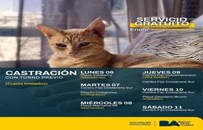 Turnos para castraciones gratuitas en la Plaza Salaberry