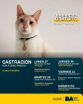 Inscripción para castraciones gratuita de mascotas en Liniers