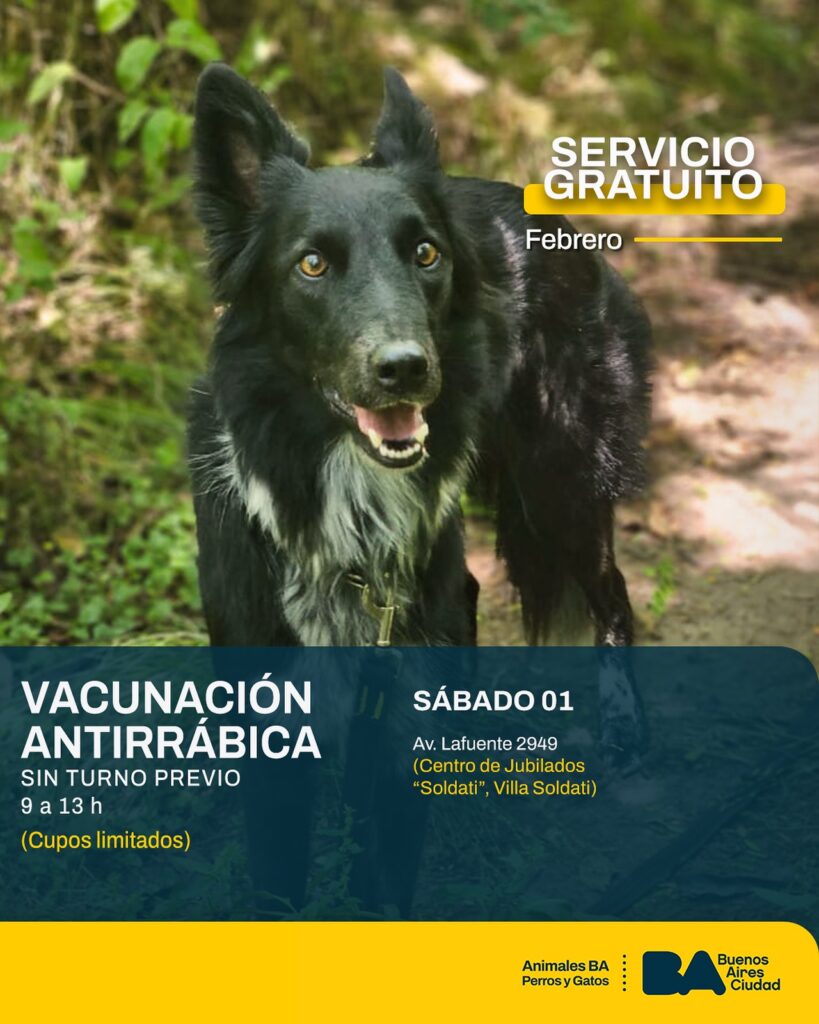 Vacunación antirrábica gratuita en Villa Soldati