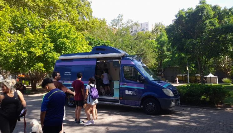 Servicios gratuitos de castración y vacunación antirrábica para perros y gatos en la Ciudad