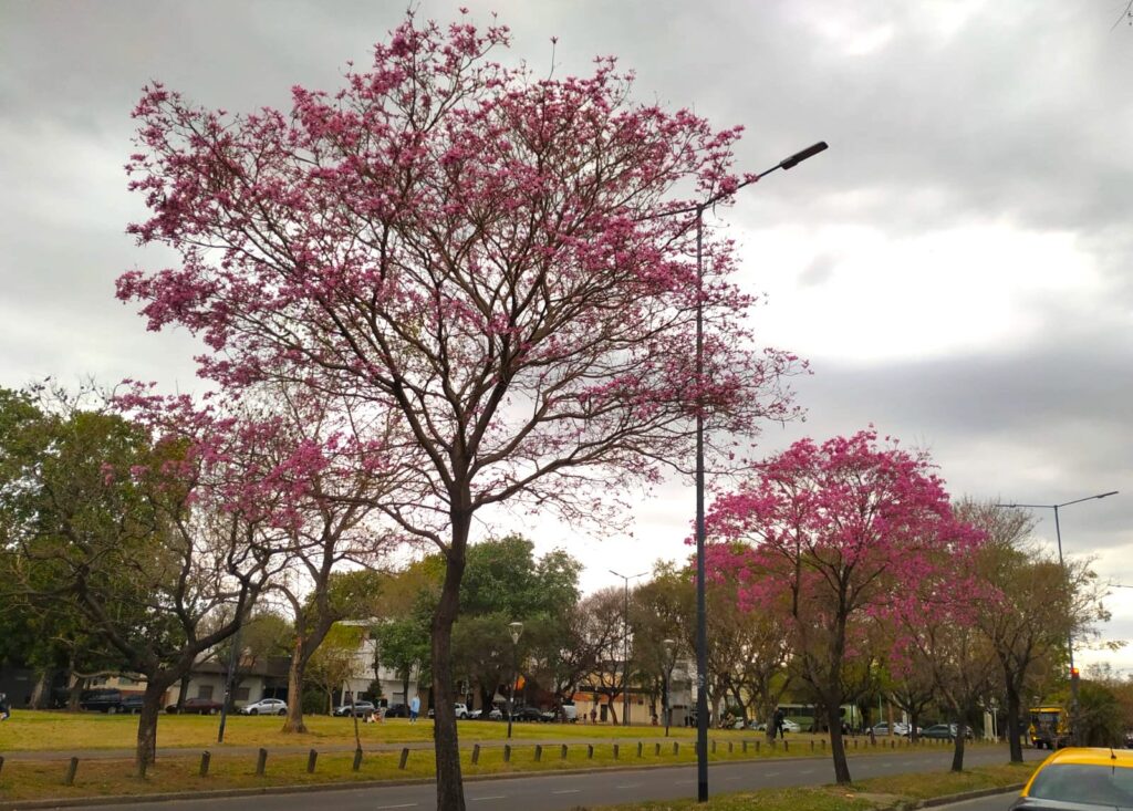 Vecinos promueven una encuesta sobre equipamiento para mejorar el Parque Goyeneche