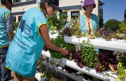 Huerta hidropónica en el Centro de Información y Formación Ambiental