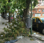 El fuerte temporal de viento y lluvia  afectó varios barrios porteños