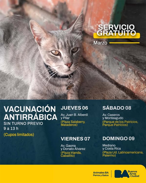 Vacunación antirrábica gratuita en Plaza Salaberry