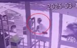Detuvieron a una mujer acusada de arrojar a su beba a la basura en Belgrano: contó que dio a luz a gemelas y que una falleció