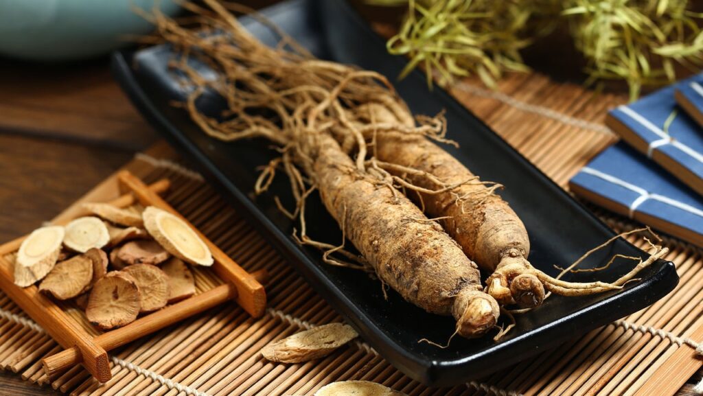 Ginseng, la raíz humana
