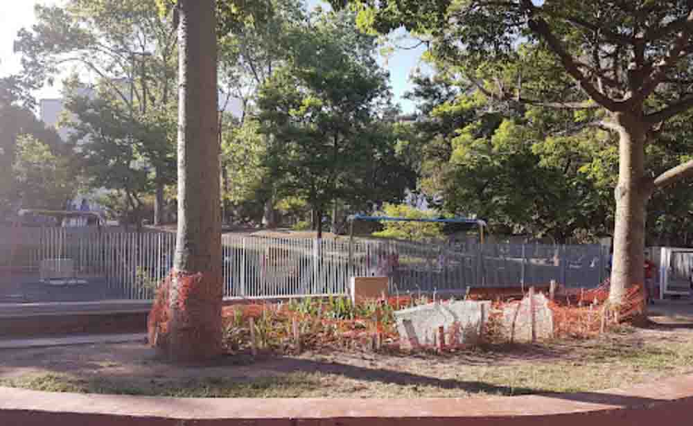 La huerta de la Plaza Velasco Ibarra, cuidada por sus vecinos