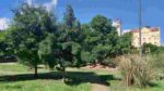 Se viene la Audiencia Pública en la Legislatura porteña por la Ley para oficializar el nombre Manzana 66 a la plaza de Belgrano y Jujuy