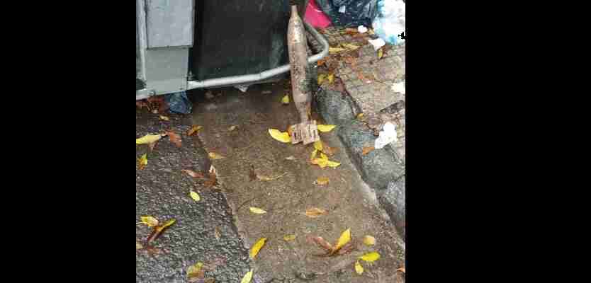 Balvanera: hallaron un misil de mortero sin carga al lado de un contenedor de basura