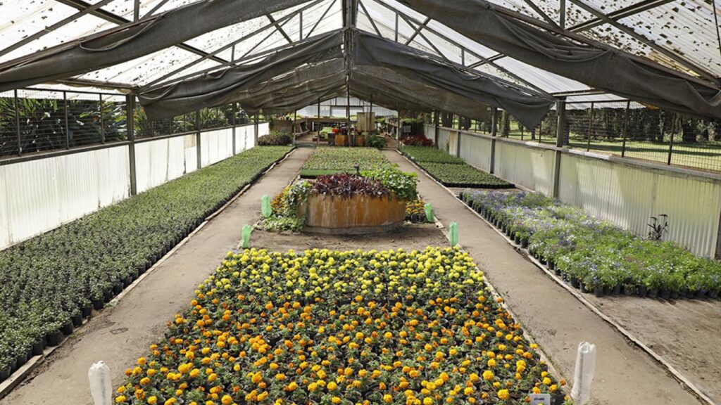 La Comuna 9 te invita a conocer el Vivero de la Ciudad