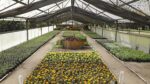 La Comuna 9 te invita a conocer el Vivero de la Ciudad