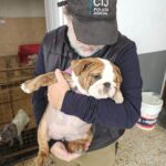 Volvieron a clausurar un criadero ilegal en Villa Urquiza y rescataron a 13 perros y un loro