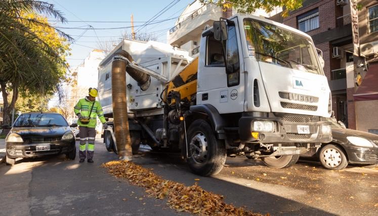 Servicio de barrido de hojas