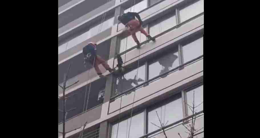 Almagro: rescataron a un carancho que quedó atrapado en un quinto piso de Muñiz e Hipólito Yrigoyen