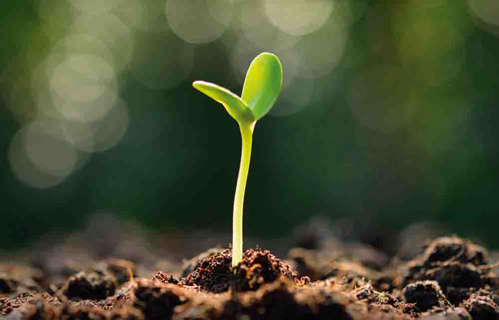 5 de Junio: Día Mundial del Medio Ambiente