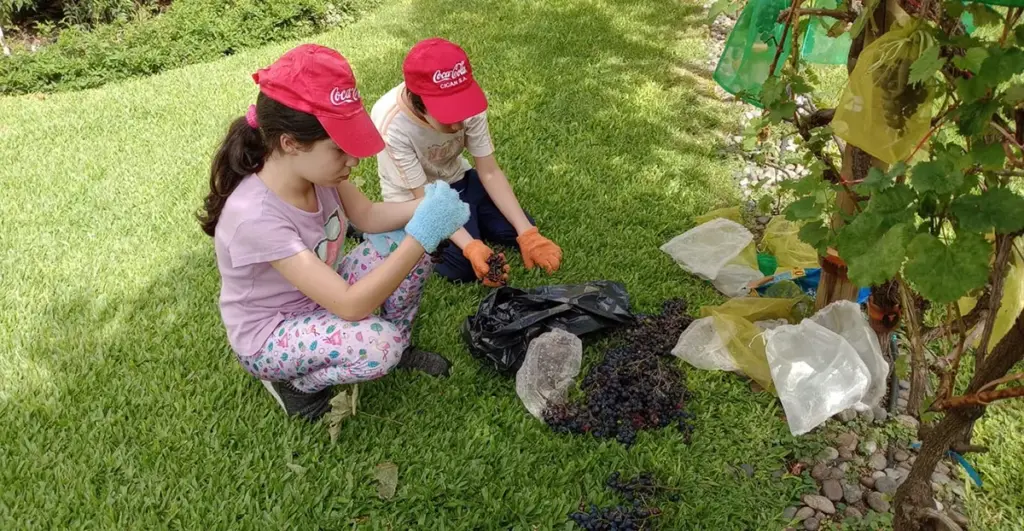 ¡La poda de vides en invierno se celebra!