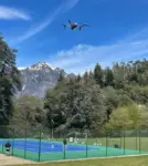 Fotografía y filmación con dron, imágenes, precisión y belleza