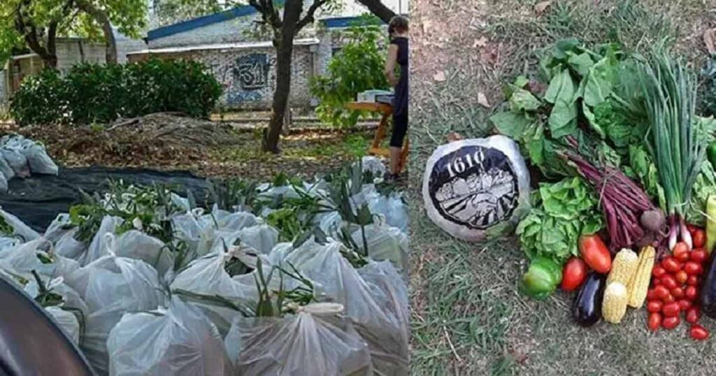 Proyecto «Bolsón Soberano» promovido por la FAUBA