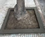 Gracias al reclamo vecinal, removieron el cemento del cantero de un árbol frente a una obra en construcción del barrio de Saavedra
