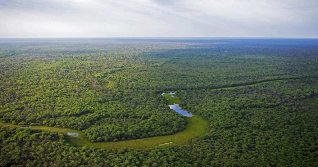 Se firmó un acuerdo para investigar la regeneración de bosques en el Parque Chaqueño en la Facultad de Agronomía de la UBA