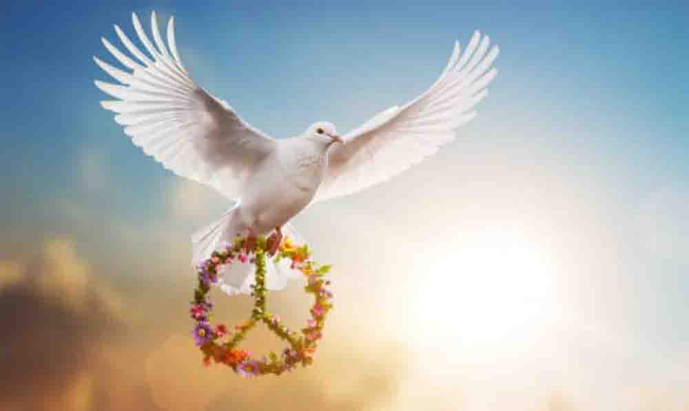 Propuestas para contribuir a la paz